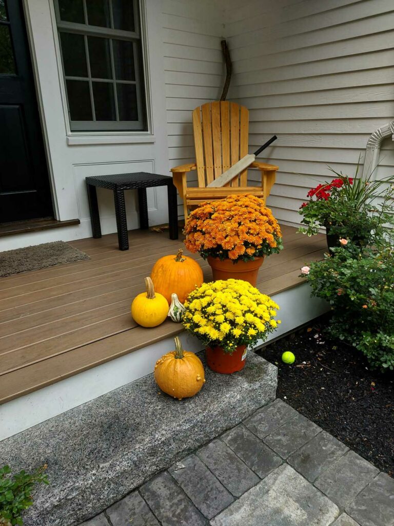 front-step-seasonal-decoration